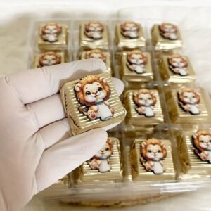 50 Adet (yaklaşık 1 Kg) Biberonlu Aslancık Ahşap Figürlü Erkek Bebek Hoşgeldin-Doğumgünü Hediyelik Kalın Madlen Çikolata