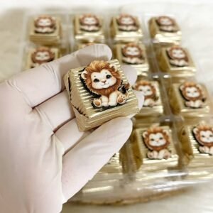 50 Adet (yaklaşık 1 Kg) Aslancık Ahşap Figürlü Erkek Bebek Hoşgeldin-Doğumgünü Hediyelik Kalın Madlen Çikolata